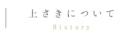 上さきについて